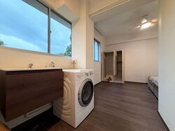 Lakeview Estate (D20), Apartment #576347071